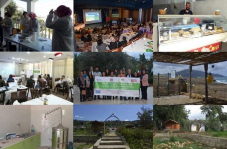 Cooperazione e sostenibilità: a Fano per parlare di nuove opportunità di sviluppo per le aree rurali del Mediterraneo