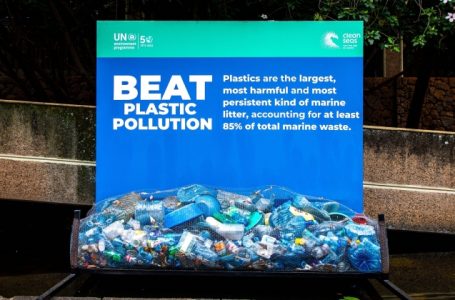 Giornata mondiale dell’ambiente 2023 #beatplasticpollution