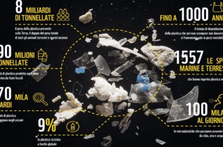 “Plastica, dalla natura alle persone. È ora di agire”. Il nuovo report del WWF