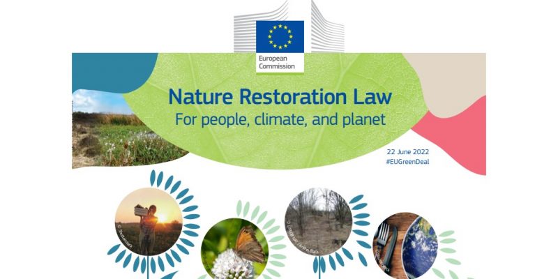 Natura e biodiversità. Il Parlamento europeo approva la Nature Restoration Law