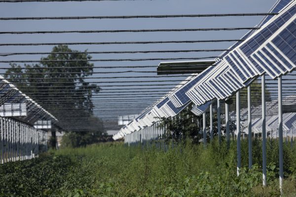 Impianti fotovoltaici. Approvato il Decreto Agricoltura: “stop all’installazione selvaggia a terra”. Ma ci sono critiche