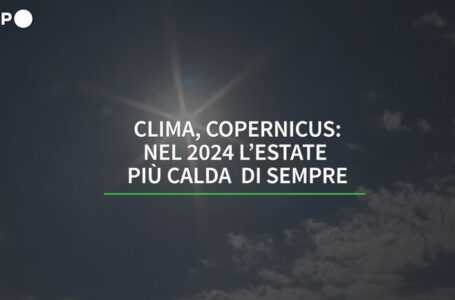 Crisi climatica: in Europa stress termico da record nel 2024. Lo studio di Copernicus