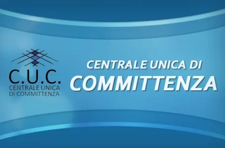 Centrali di committenza. L’Anac: “risorse adeguate e organizzazione efficace per soddisfare le esigenze della P.A.”