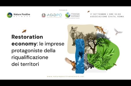 Riqualificazione dei territori. Restoration economy: le imprese protagoniste. Evento della Fondazione per lo Sviluppo Sostenibile il 17 settembre