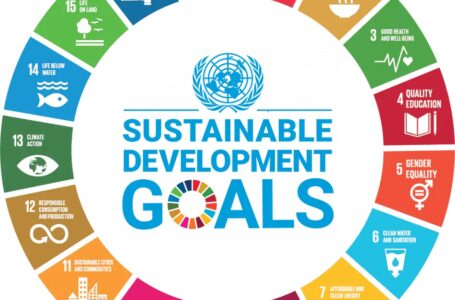 Agenda 2030. Mercoledì 22 ottobre la presentazione del Rapporto ASviS 2025 “L’Italia e gli Obiettivi di sviluppo sostenibile”