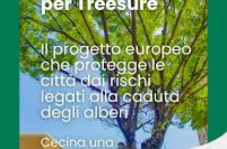Città e verde urbano. Salute degli alberi: parte il progetto europeo Treesure per il monitoraggio. Il Comune di Cecina è partner