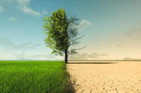 Crisi climatica sempre più grave. Copernicus: “il caldo eccezionale sta diventando la nuova normalità”