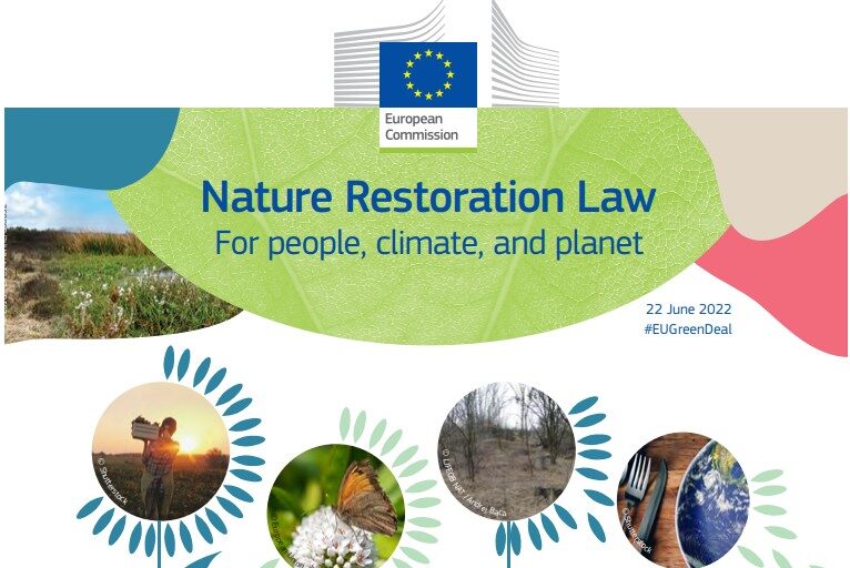 Nature Restoration Law: l’Italia ha trasmesso il PNRN a Bruxelles, ma non è ancora pubblico